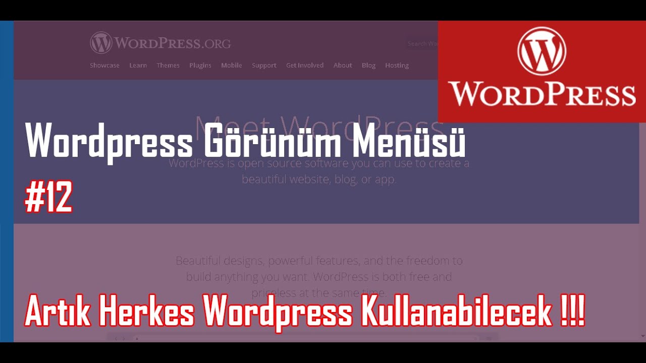 Wordpress G&ouml;r&uuml;n&uuml;m Men&uuml;s&uuml; - Uzmanından &Uuml;cretsiz Wordpress Eğitim Seti  12