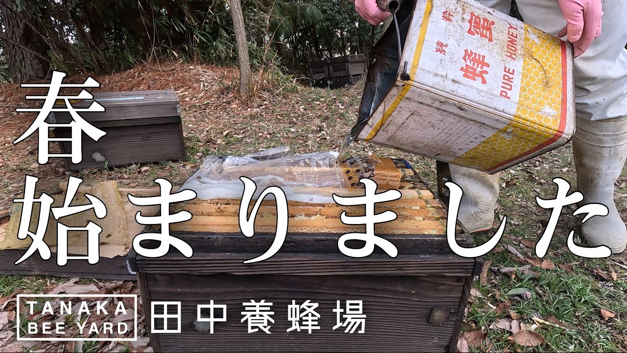 2024開幕!　シーズン最初の作業