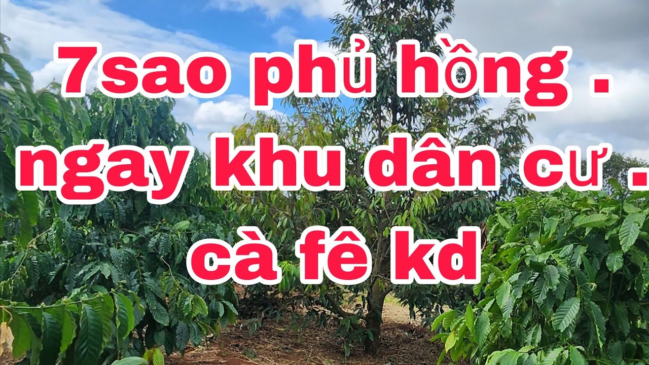 phủ hồng khu dân cư .gần 7 sào cách ql14a chỉ 1km.đất đỏ   bằng phẵng .xã iale .chưpư .gialai 