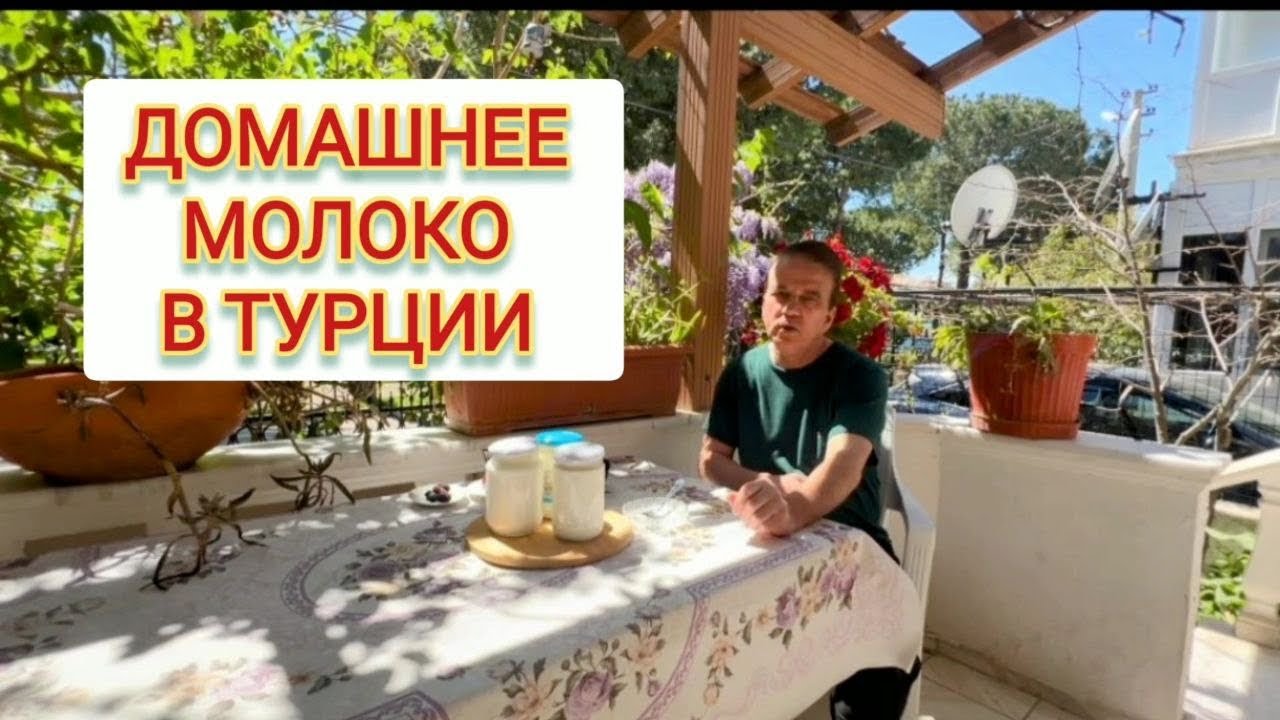 Натуральное жирное молоко, йогурт и яйца. Органические натуральные продукты в Турции