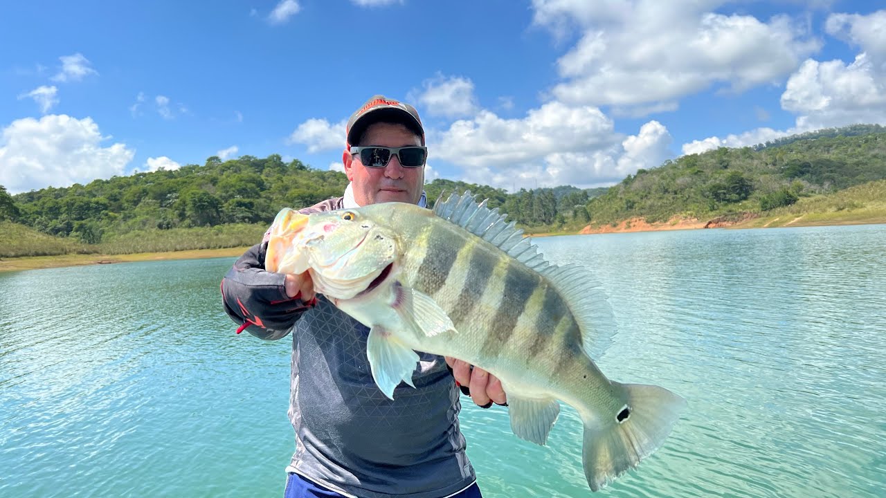 Tucunaré Azul de 56cm em Paraibuna