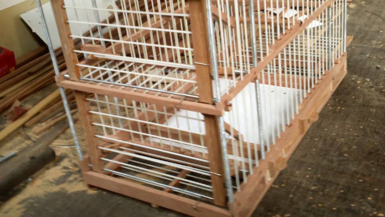 Gaiola de caça para tico-tico com 5 alçapões