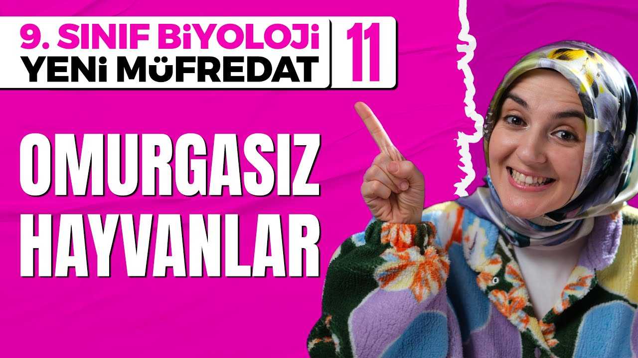 Omurgasız Hayvanlar | Hayvanlar Alemi 1 - 11 | 9. Sınıf Biyoloji (Maarif Modeli)