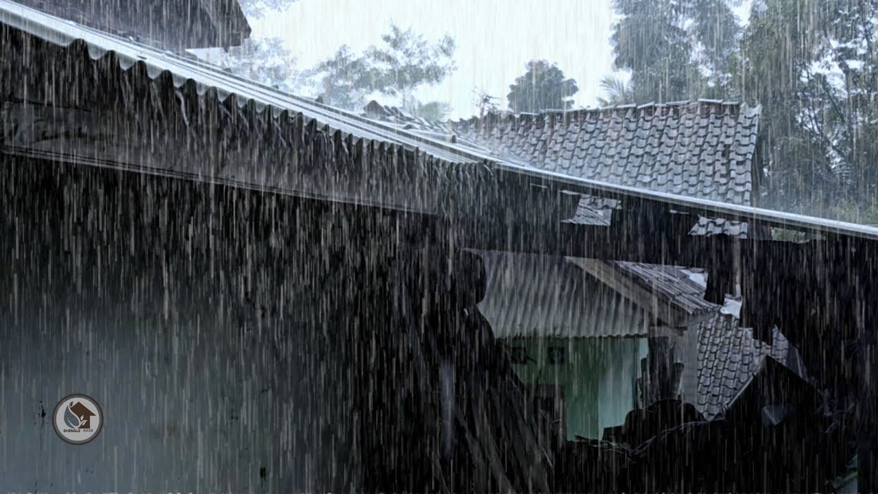 Сильный тропический дождь на крыше в деревне | Аутентичные звуки дождя по черепице для глубокого