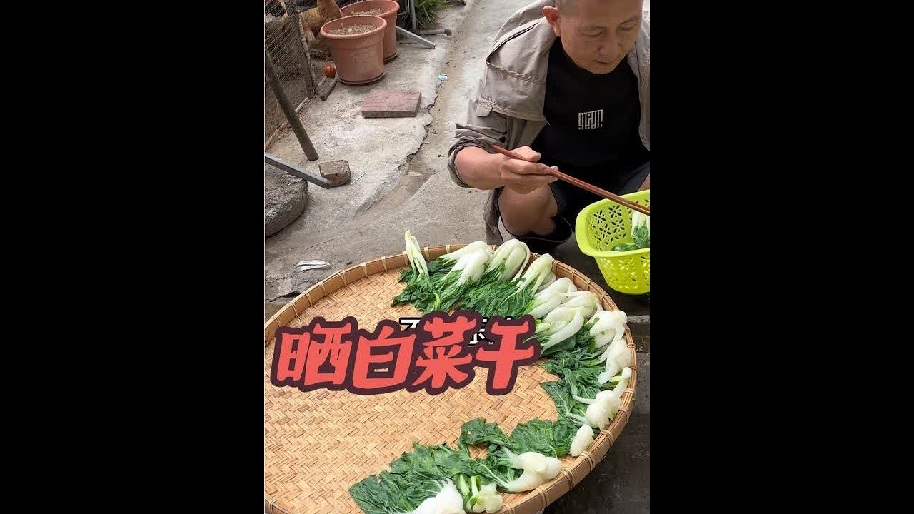 学长爸爸妈妈种的菜太多了根本吃不完。趁今天有空去菜园把奶白菜割回来晒了，洗干净用开水烫一下晒干。晒干用来煮扣肉，煮五花腩味道杠杠的#真实记录生活日常 #农村菜园#纯天然绿色蔬菜 #收获满满