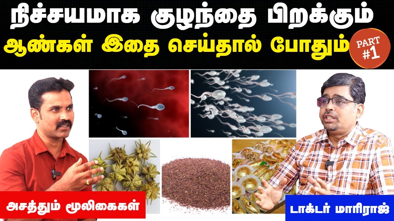 விந்தணுக்கள் அதிகரிக்க என்ன சாப்பிட வேண்டும் |Sperm count increase food tamil|Doctor Interview tamil