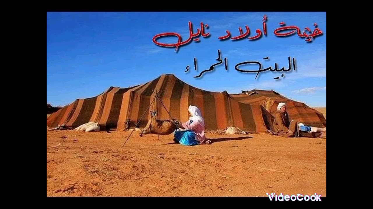 أغنية نايلي قديمة يا لالة طلي طلي