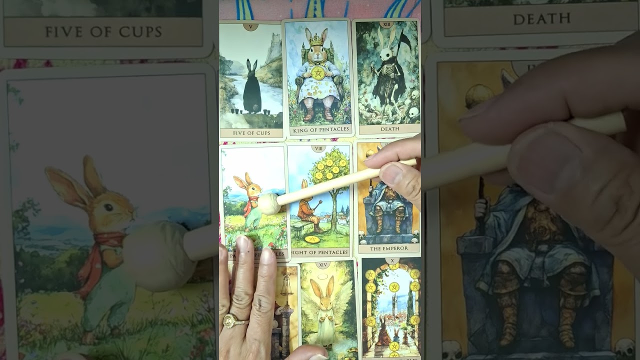 คุณกำลังเจอเส้นทางพิเศษ เหมือนได้เกิดใหม่อีกครั้ง👩‍❤️‍💋‍👨💸#random #tarot 