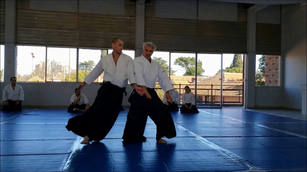 Aikido, Sokumen irimi nage!