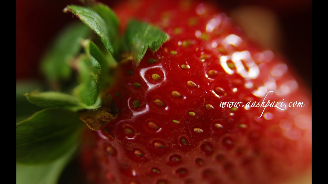 Highest Source of Antioxidants (10 Highest Antioxidant Source)