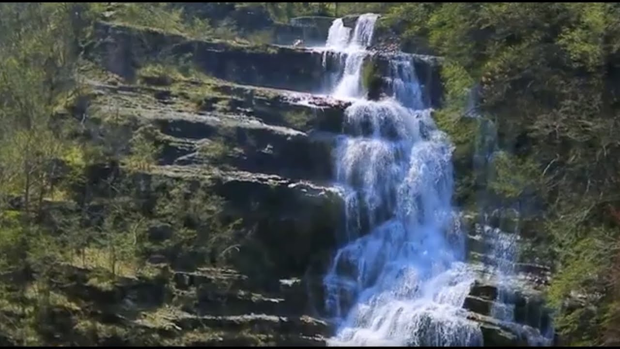 Il Cammino di Dante