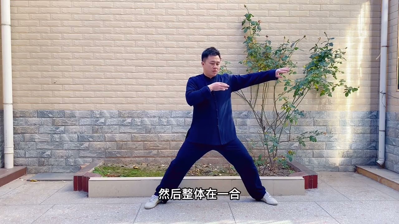 太极拳老架一路丹田内功心法89  太极内功：六封四闭