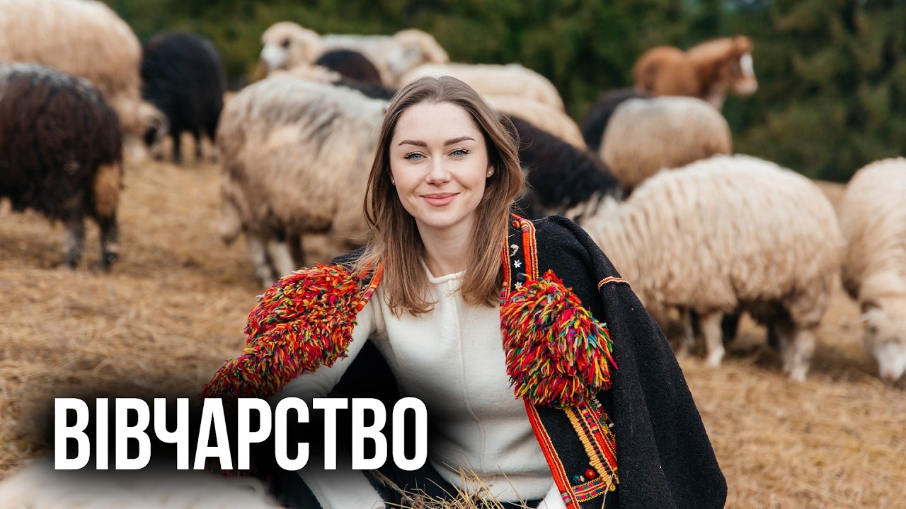 Останні вартові Карпат: як виживає ВІВЧАРТСВО у ХХІ столітті