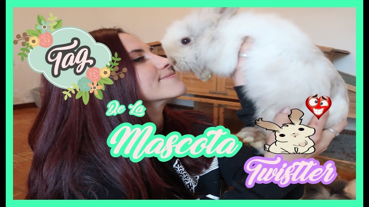 TAG DE LA MASCOTA/ Twistter, un conejo ESPECIAL