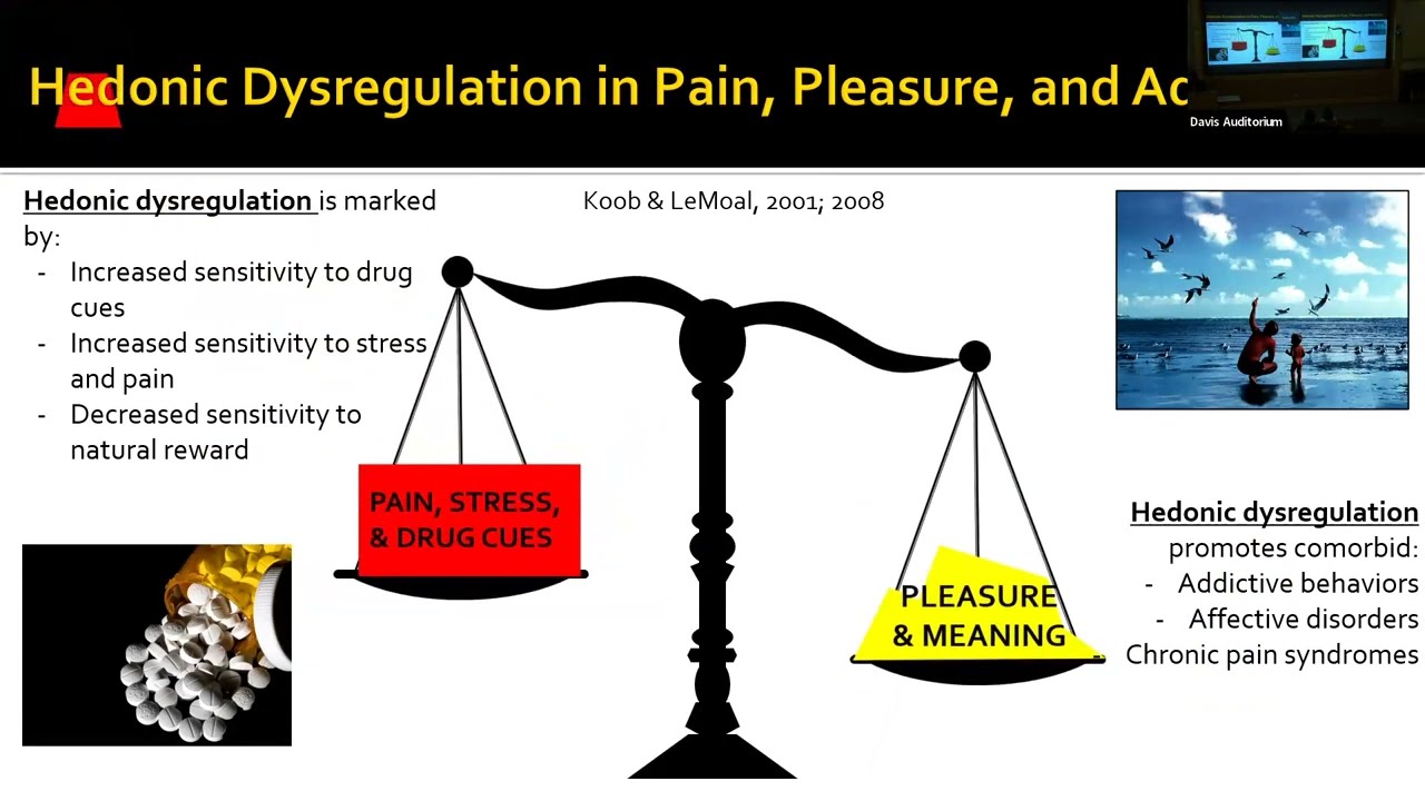 Mindfulness-Oriented Recovery Enhancement (MORE) with Dr. Eric Garland