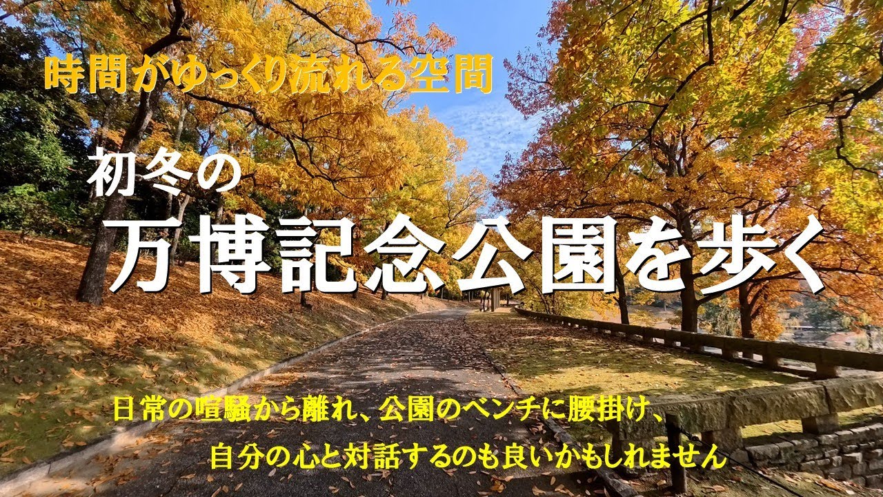 ７１  【初冬　万博記念公園】　万博記念公園の紅葉がこんなに素敵だと知っていました？