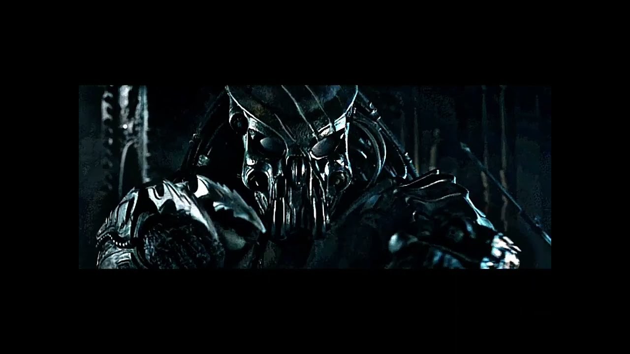 Celtic Predator | Scene Pack | AVP 2004