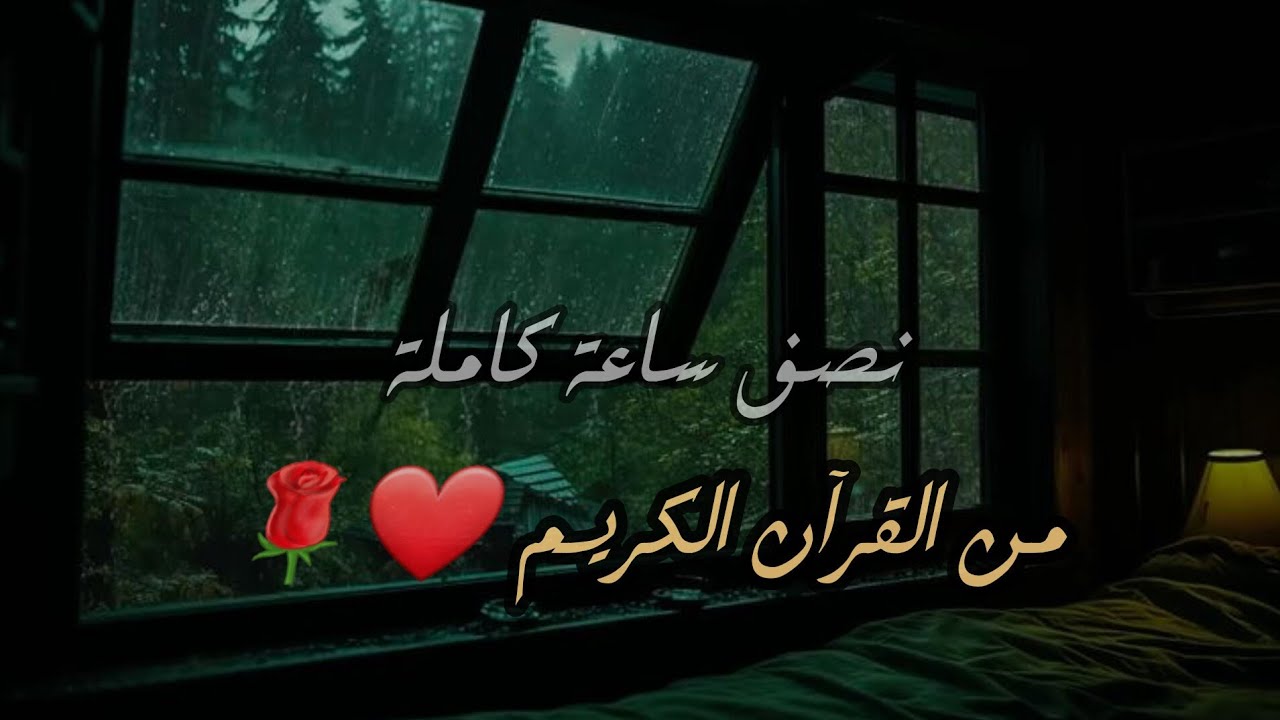 بث مباشر قرآن كريم 🔴 نصف ساعة كاملة 😴💚