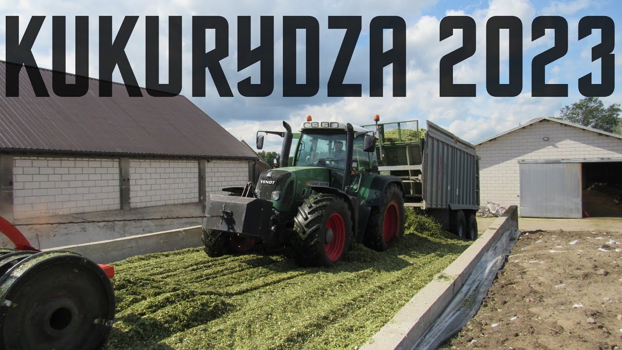 ☆WTOPA NA PRYZMIE✔ KOSZENIE KUKURYDZY 2023☆GR TWAROWSKI &  AgroKomplex ✔