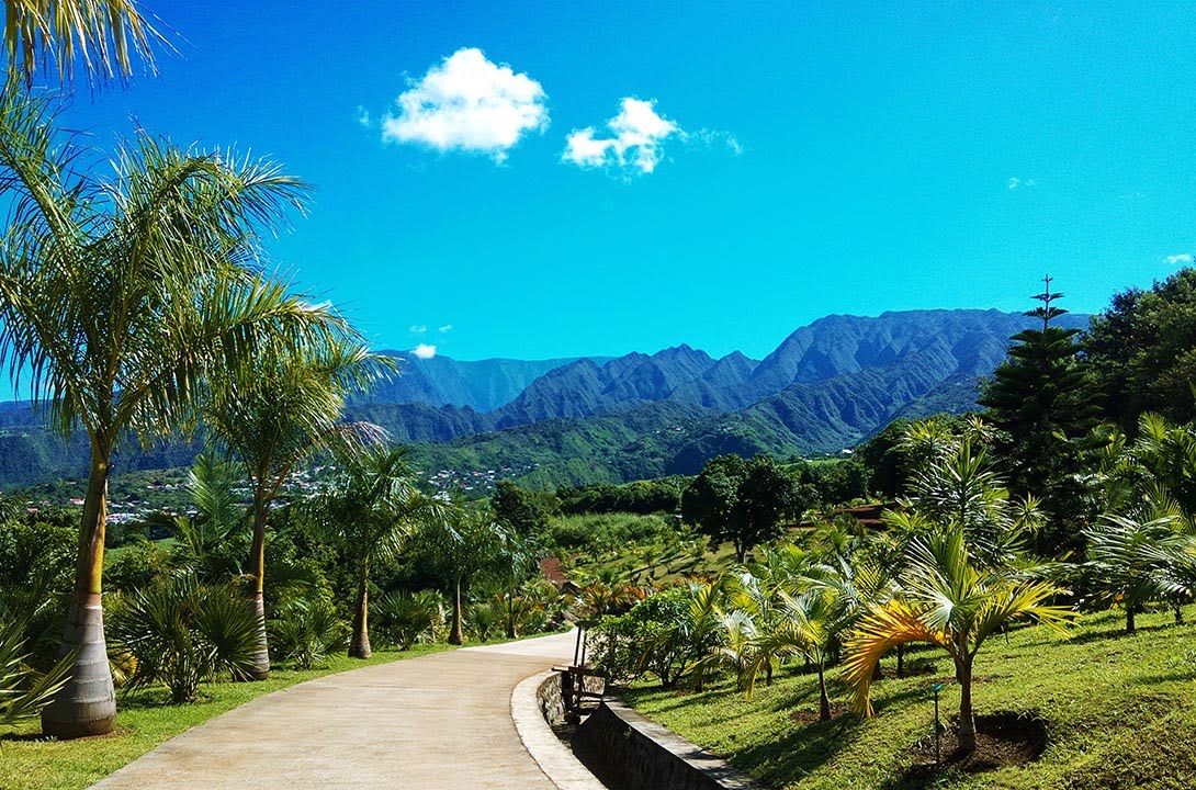Ile de La Réunion, Le Parc des Palmiers