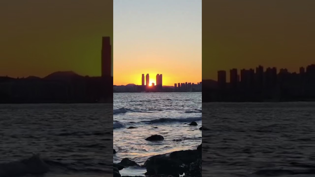 2026년 2월 10일
