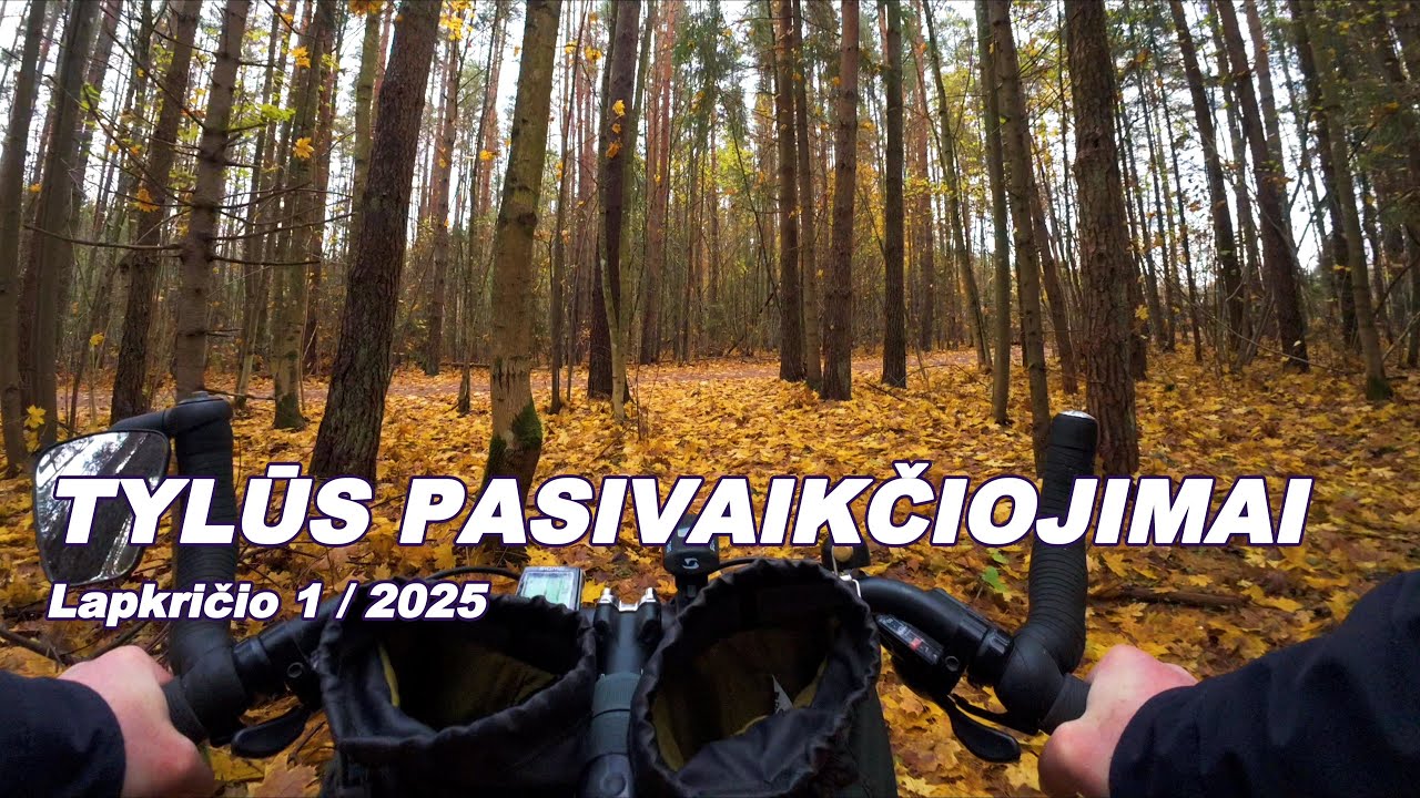 Tylūs Pasivaikščiojimai