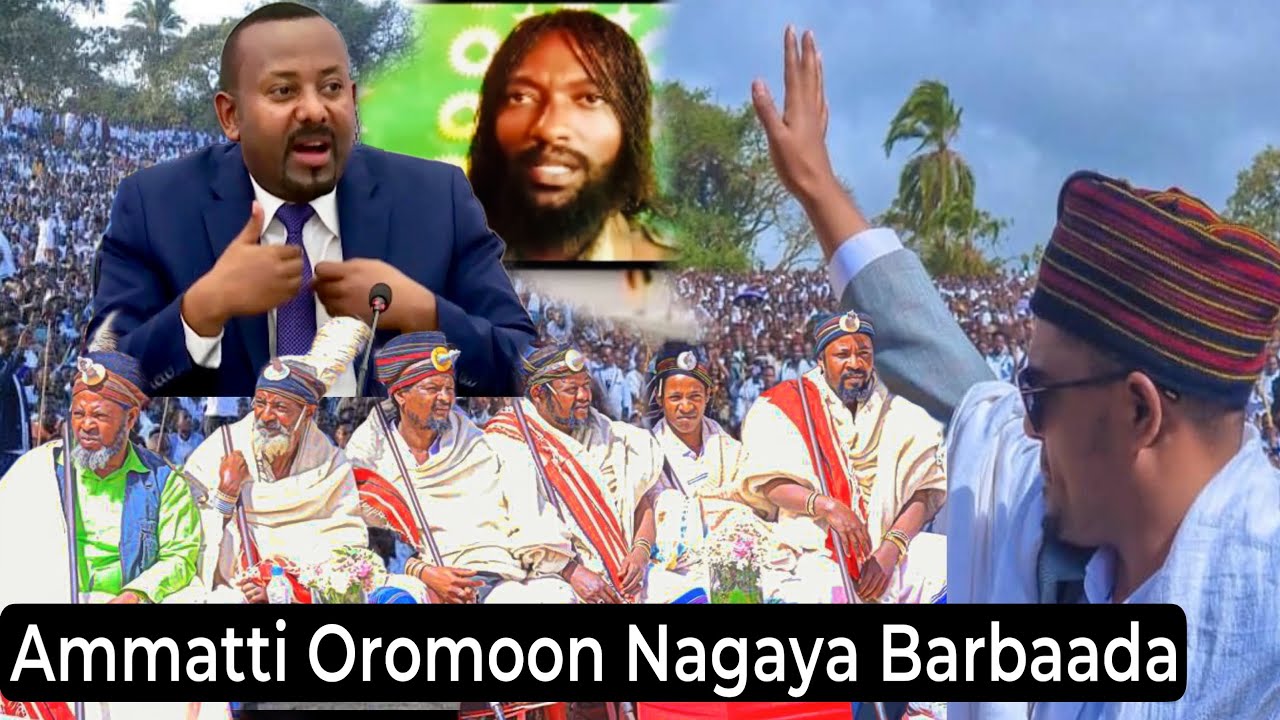 Oromoon Nagaha Barbaada. Nageenyi Bu’uu qaba Abbaa Gadaa Gujiirraa dhagahame.