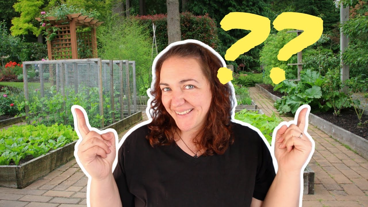 Starting a Vegetable Garden: How to choose what to grow