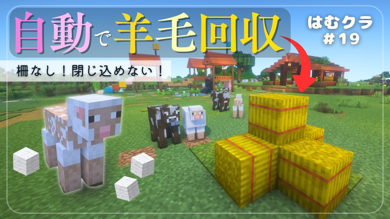 【マイクラ】柵なし自動羊毛回収機！自由な羊と暮らす癒し村✨閉じ込めない牧場☘️はむクラ