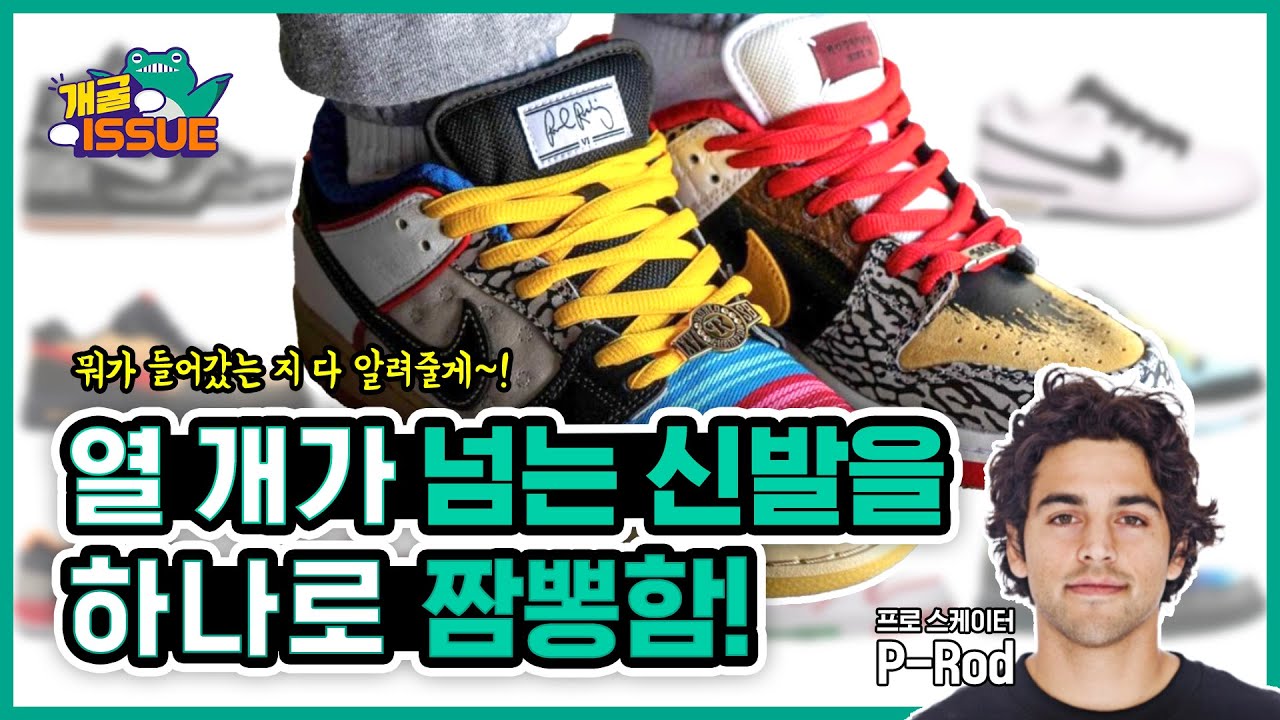 #나이키가 10개가 넘는 #덩크를 한신발로 합치면?  What the ***K!? 왓더덩크2가 나온다! 그리고 어떤 신발이 들어갔는지 모조리 알려줄께! [개굴이슈5]