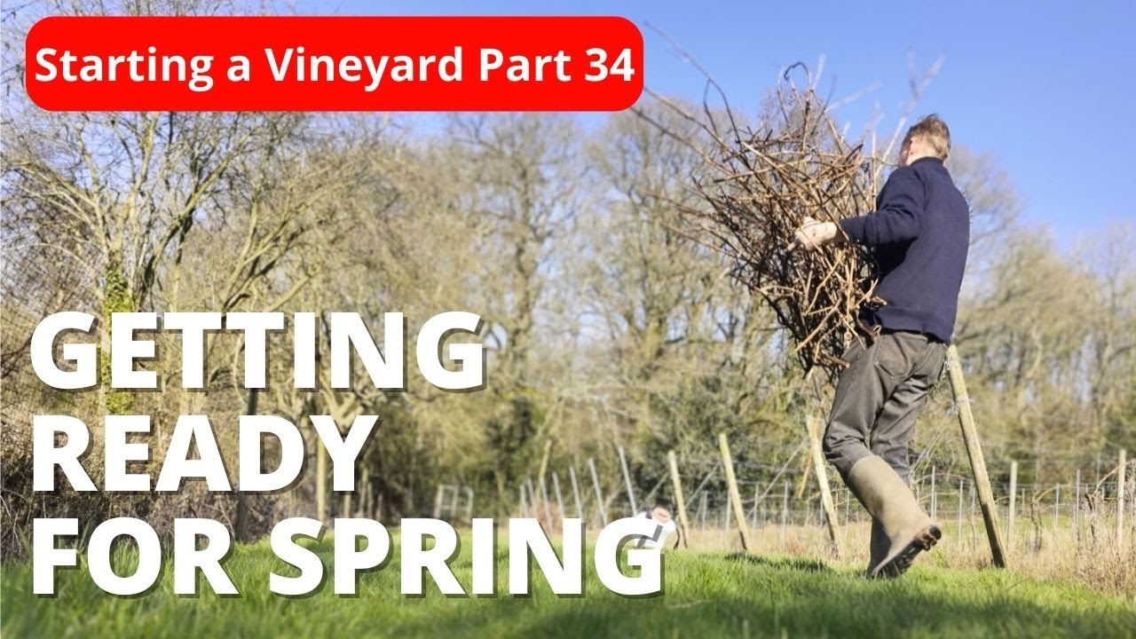Getting ready for Bud Burst - now only a few weeks away.
