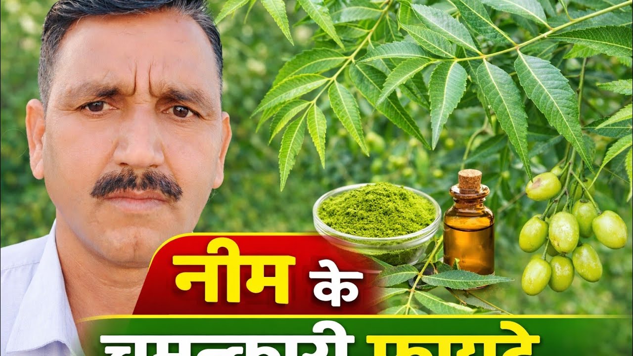 नीम के पेड़ के अद्भुत फायदे | Neem Tree Benefits | आयुर्वेद की सबसे बड़ी औषधि