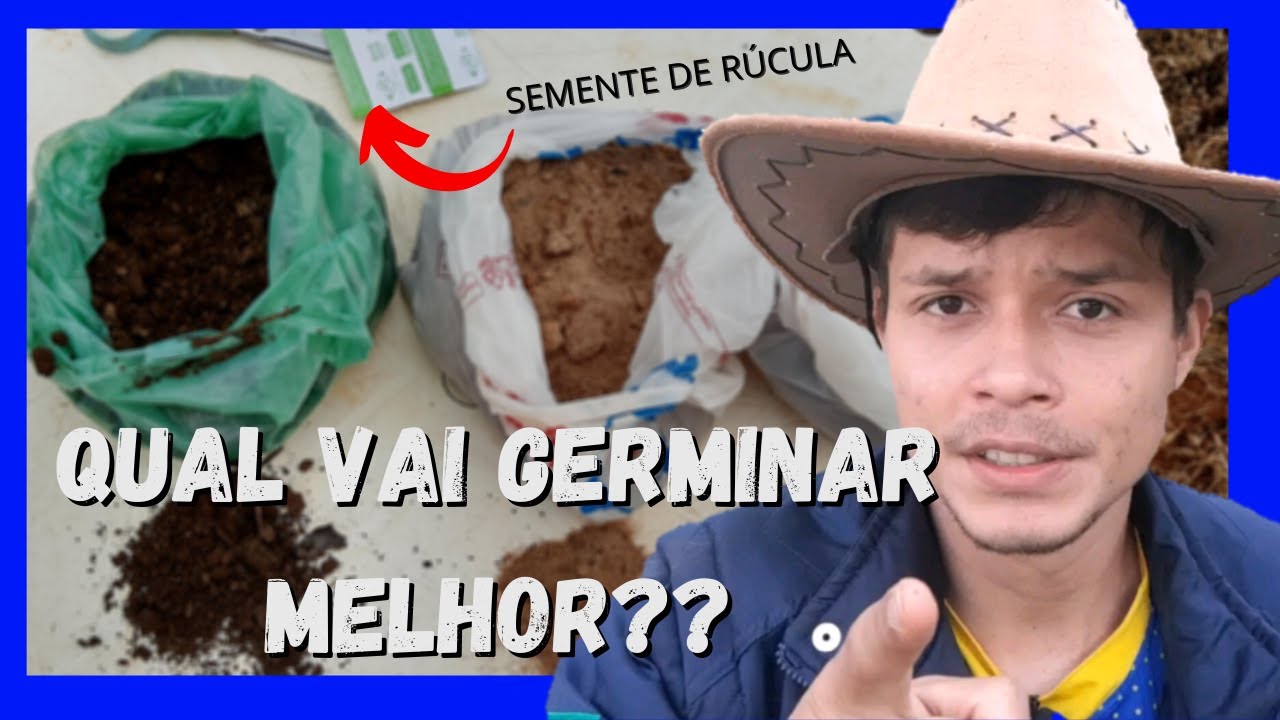 TERRA COMUM x AREIA x ESTERCO  -  Qual o melhor para fazer mudas?