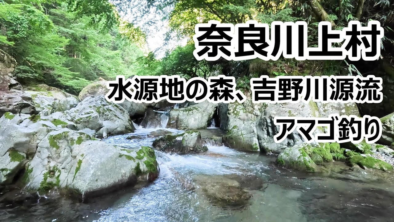 奈良川上村渓流釣り１話（吉野川源流、TOCOTOCOの森の上流の高原川は美しい渓谷でアマゴの魚影も濃かった。）