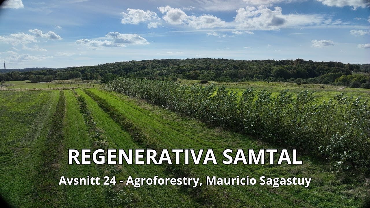 Regenerativa Samtal - Avsnitt 24 - Agroforestry, Mauricio Sagastuy