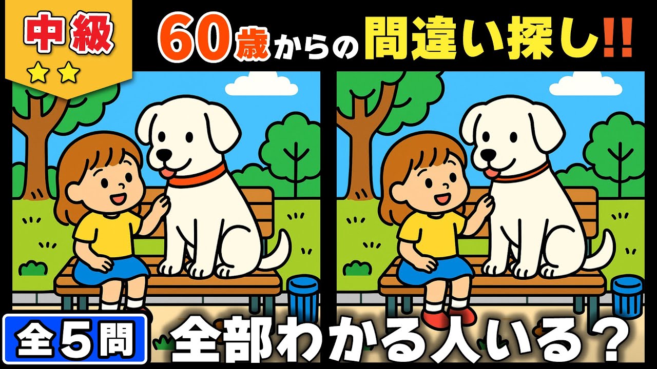 【脳トレ】間違い探し★中級編★全5問｜静かに集中して脳を動かす大人の脳トレ時間 #155