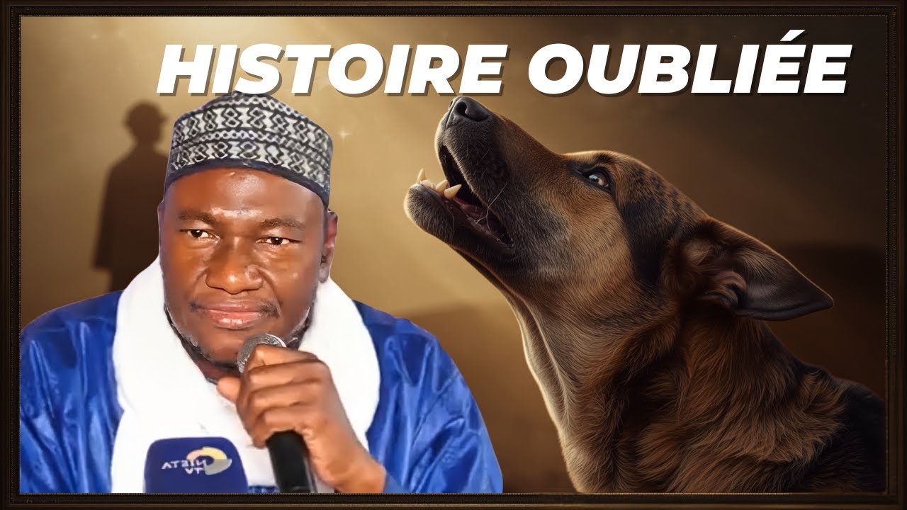 Une incroyable histoire : le chien du Prophète Mohamed ﷺ