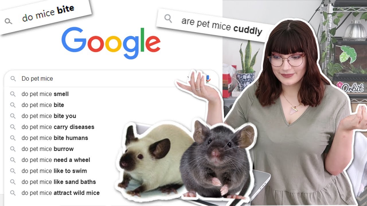 Answering the most GOOGLED mouse questions
