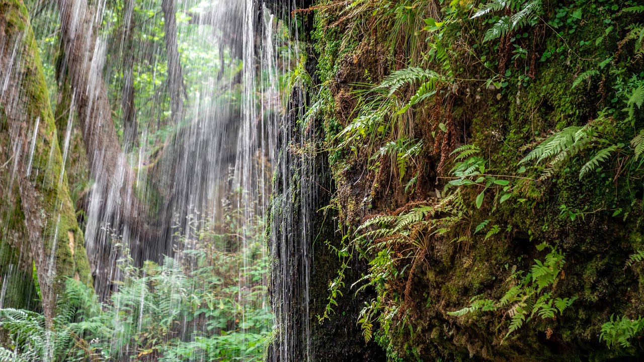 BLACK FOREST: Menzenschwander Waterfall