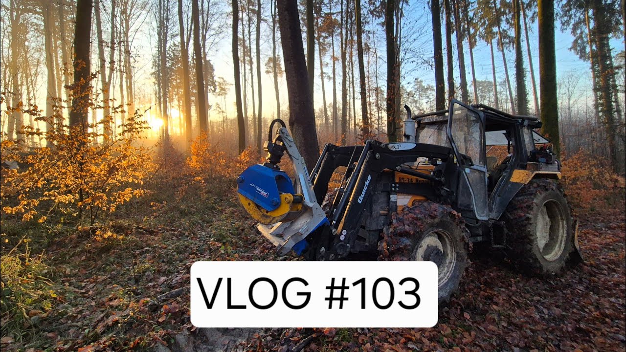 VLOG #103 Holzeinschlag mit Forstreich TR 27 HD und Makita 1000 nm Schlagschrauber, Renault im Einsa
