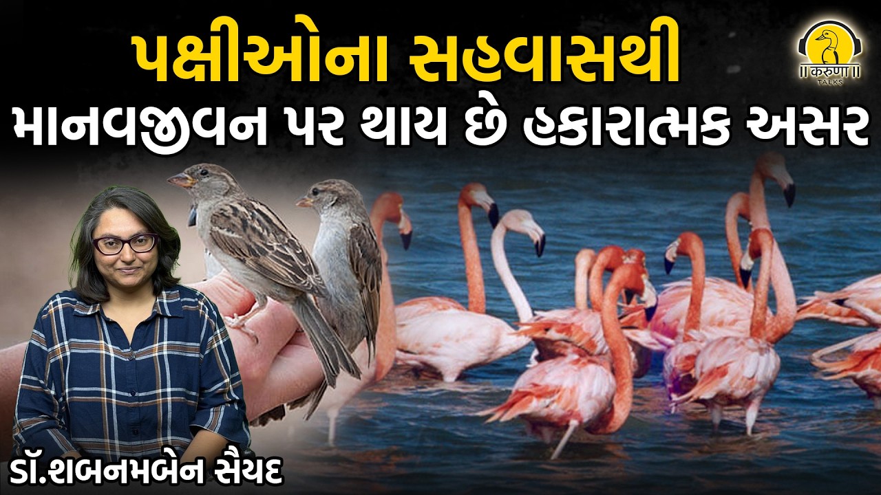 પક્ષીઓના સહવાસથી માનવજીવન પર થાય છે હકારાત્મક અસર... l  ડૉ.શબનમબેન સૈયદ