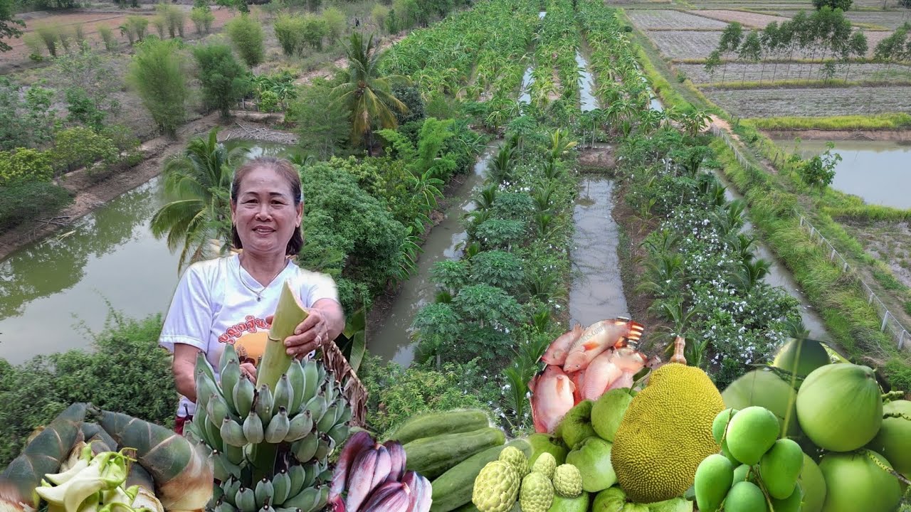 สุดยอดคนขยันทำเกษตร มีกินทุกอย่าง สร้างรายได้หลักหมื่นบาทต่อเดือน