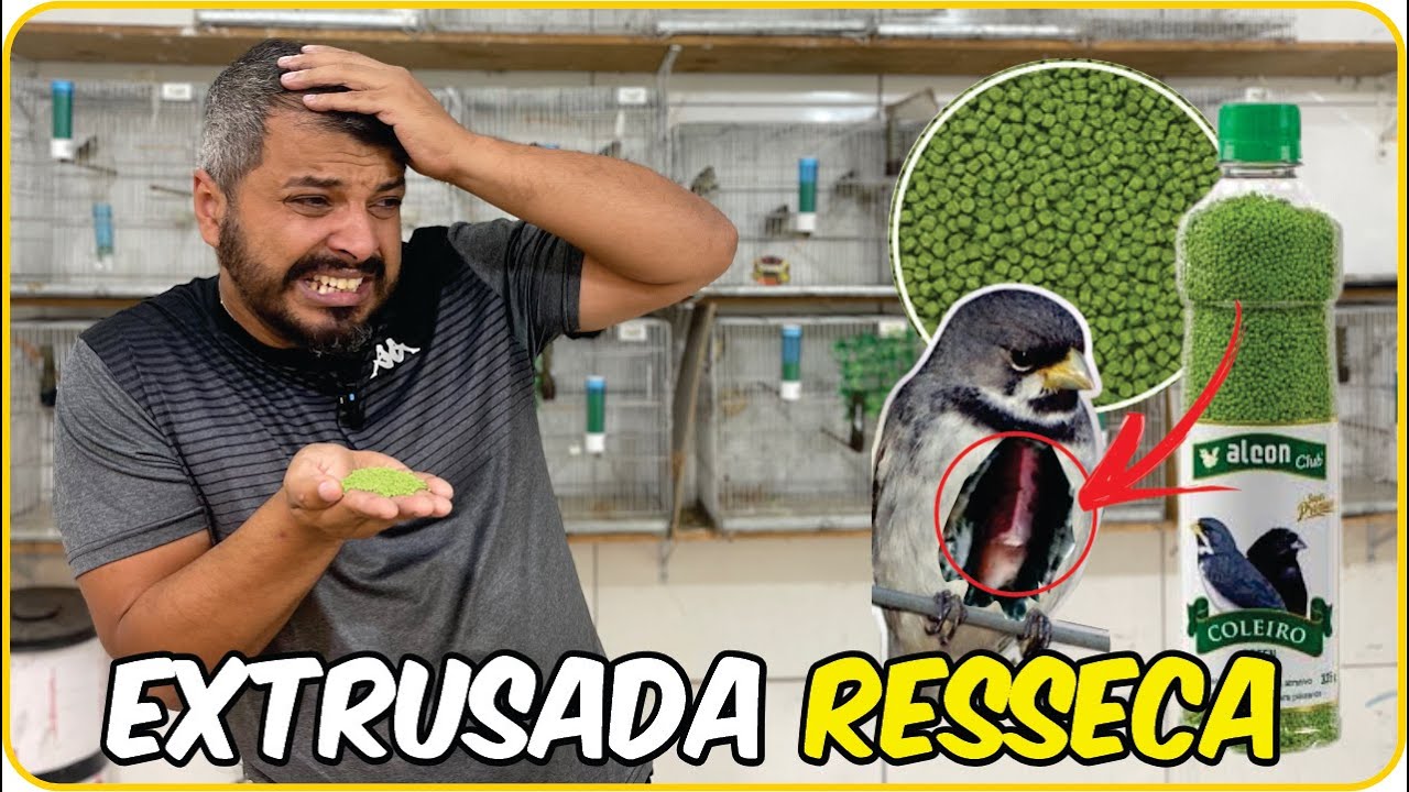 [´PIOR QUE VENENO ] Não Dê Extrusada pro Seu Coleiro!