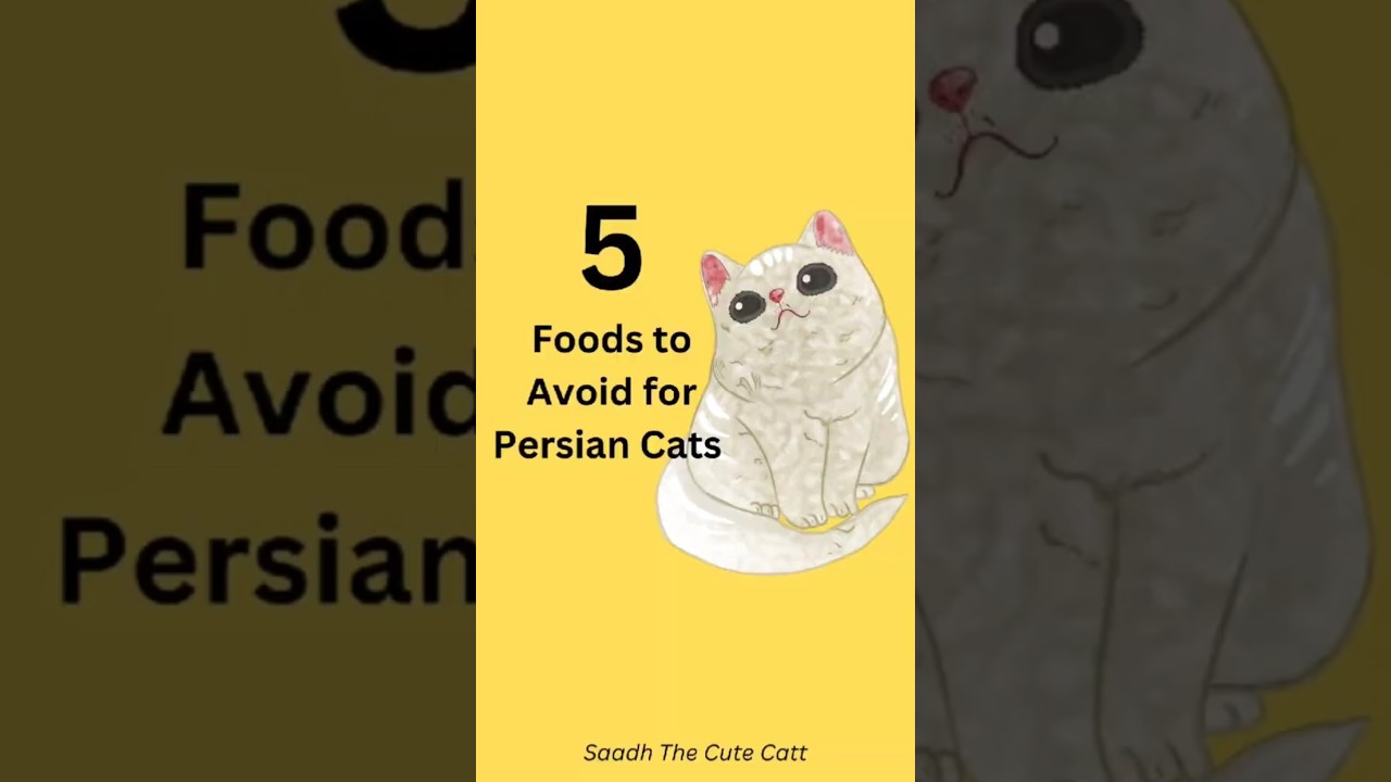 5 Foods to avoid for Persian Cats | Must Known Cat Care Tips 