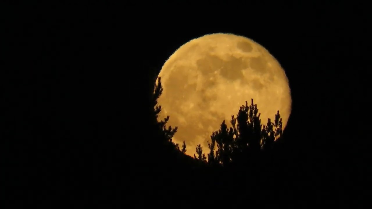The Yellow Moon - Copyright Free Videos