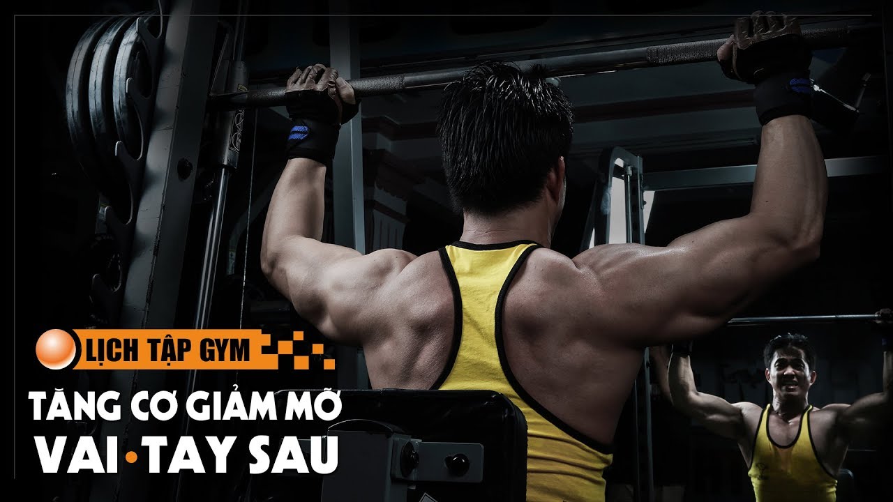 Lịch tập GYM tăng cơ giảm mỡ Vai - Tay sau DN 2014