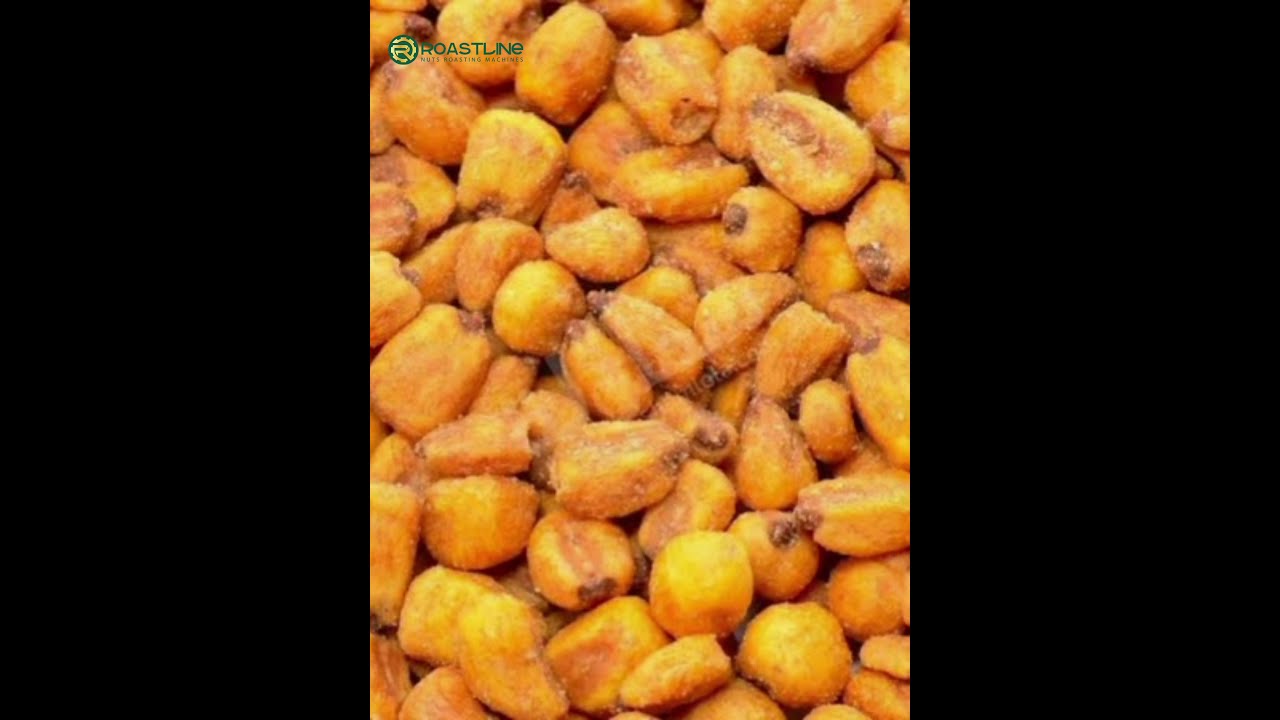 KURUYEMİŞ ve mısır kızartma hattı خط قلي المكسرات و الذرة Nuts and corn frying line