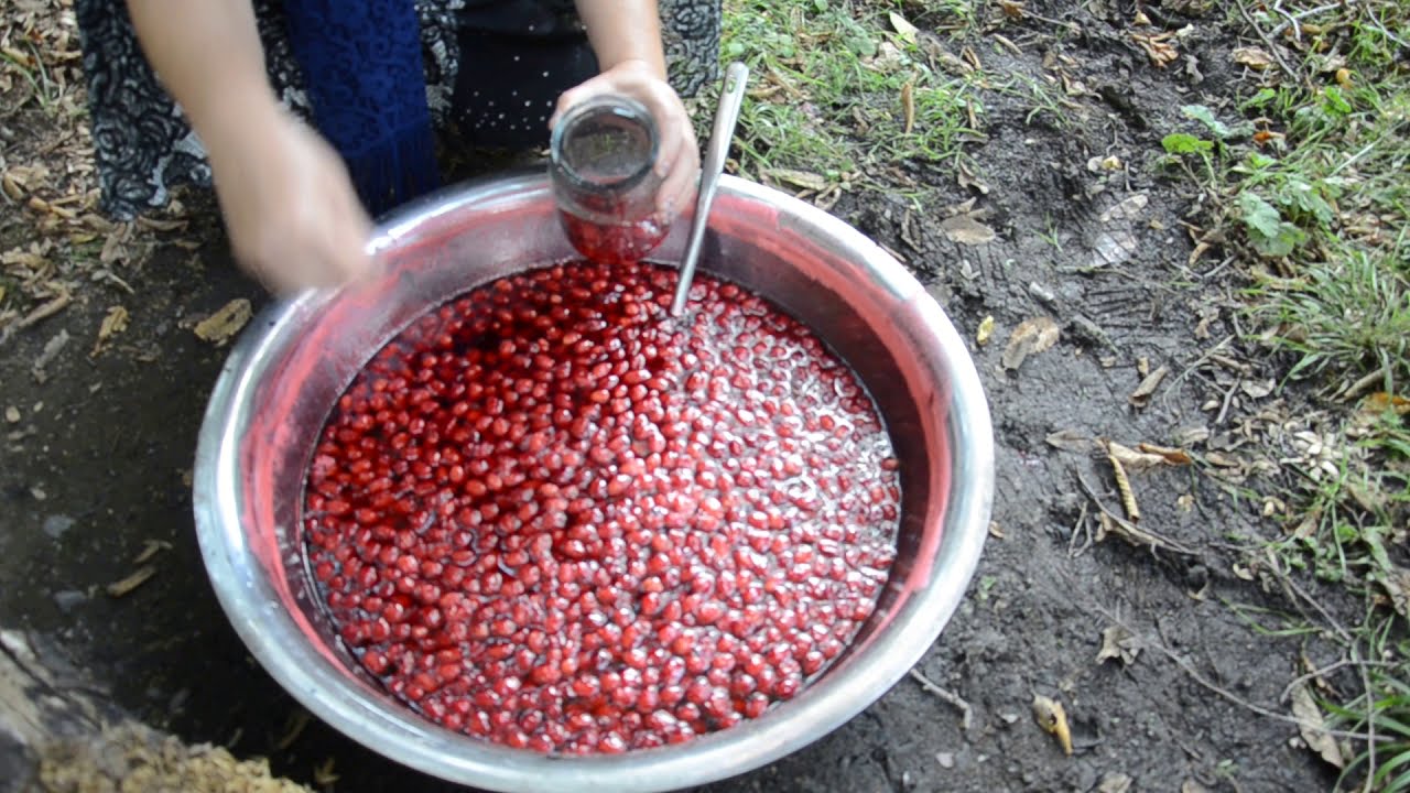 İsmayıllı rayonu Buynuz kəndi 