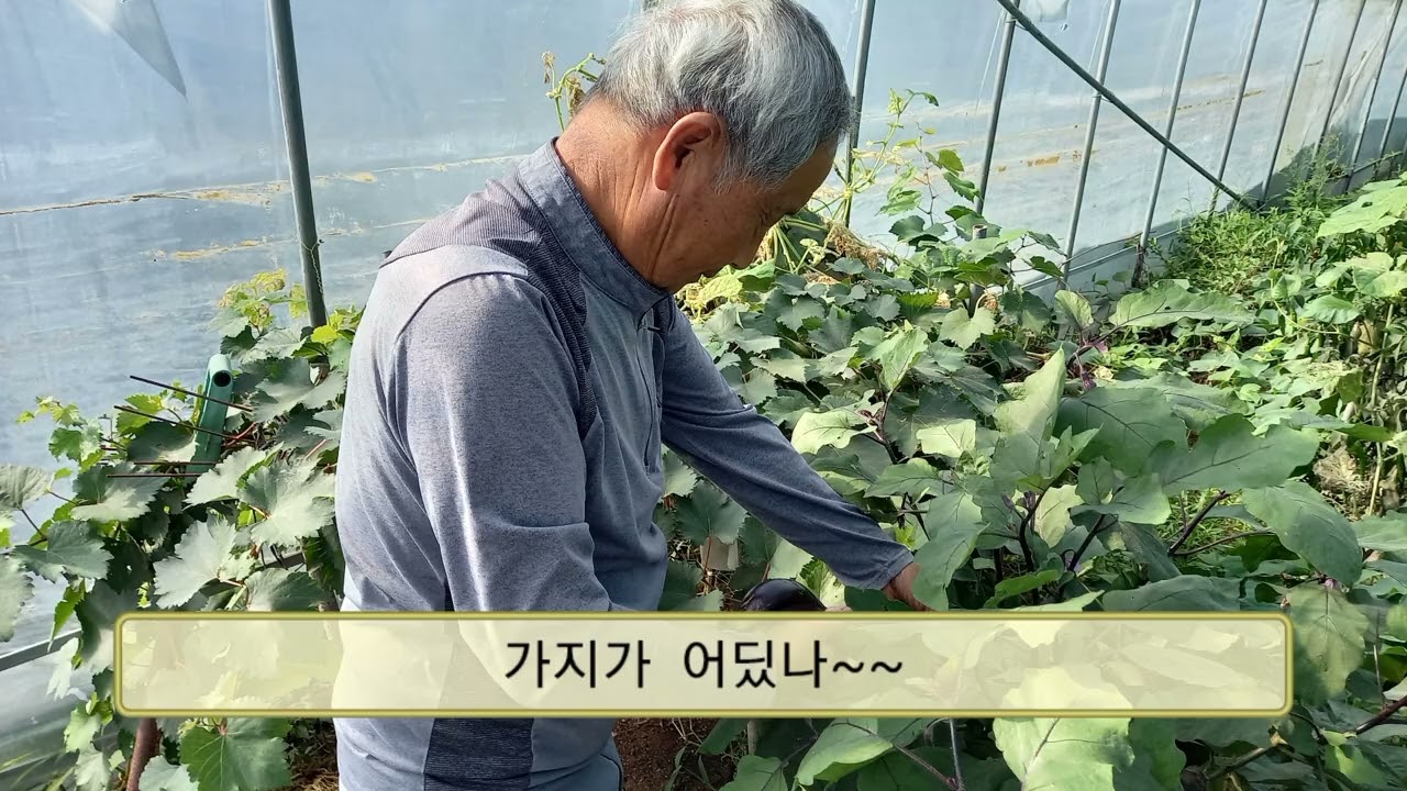 24.09.24안성에서 작은어머니집으로