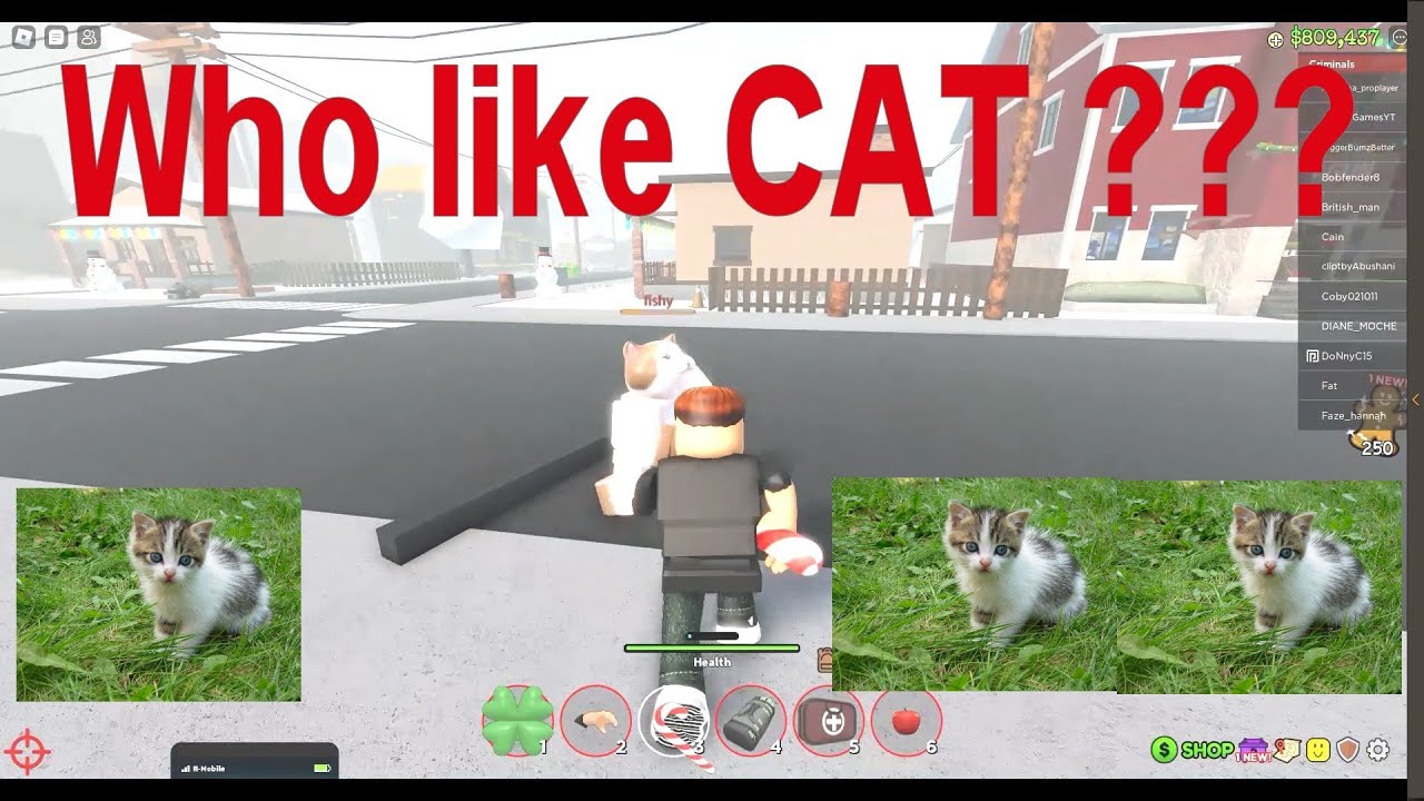 Roblox - OHIO- Who like CAT ???